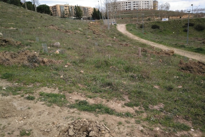 Lo mismo arborizan, por fin, El Zurgu&eacute;n. | Imagen 5