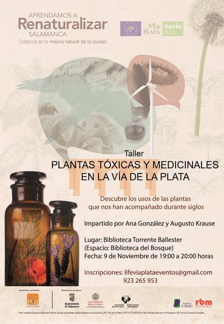¿Te gustaría conocer las propiedades medicinales y gastronómicas de plantas silvestres en Salamanca? | Imagen 1