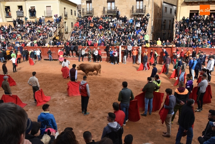 Las &uacute;ltimas miradas, sonidos y curiosidades del Carnaval del Toro 2024 | Imagen 43