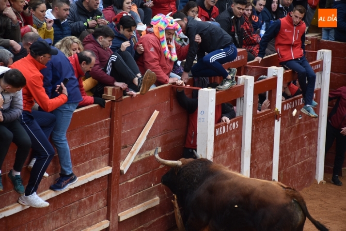 Las &uacute;ltimas miradas y sonidos del Carnaval del Toro 2023 | Imagen 48