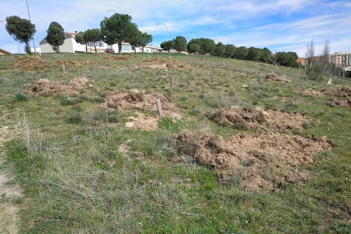 Lo mismo arborizan, por fin, El Zurgu&eacute;n. | Imagen 3