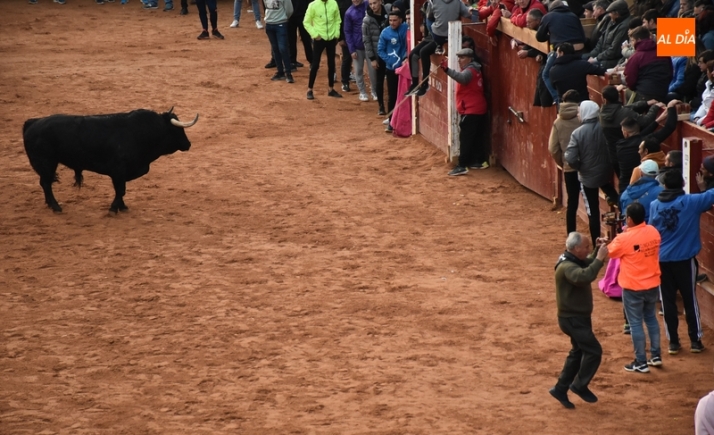 Las &uacute;ltimas miradas y sonidos del Carnaval del Toro 2023 | Imagen 55