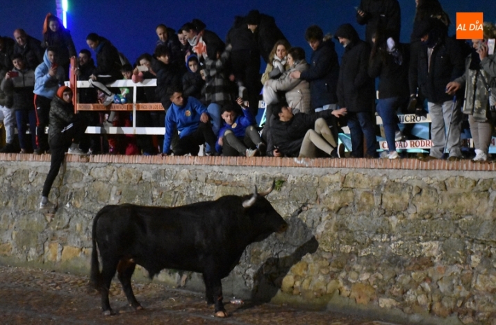 Las &uacute;ltimas miradas y sonidos del Carnaval del Toro 2023 | Imagen 58