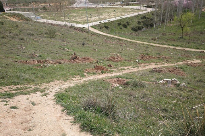Lo mismo arborizan, por fin, El Zurgu&eacute;n. | Imagen 6