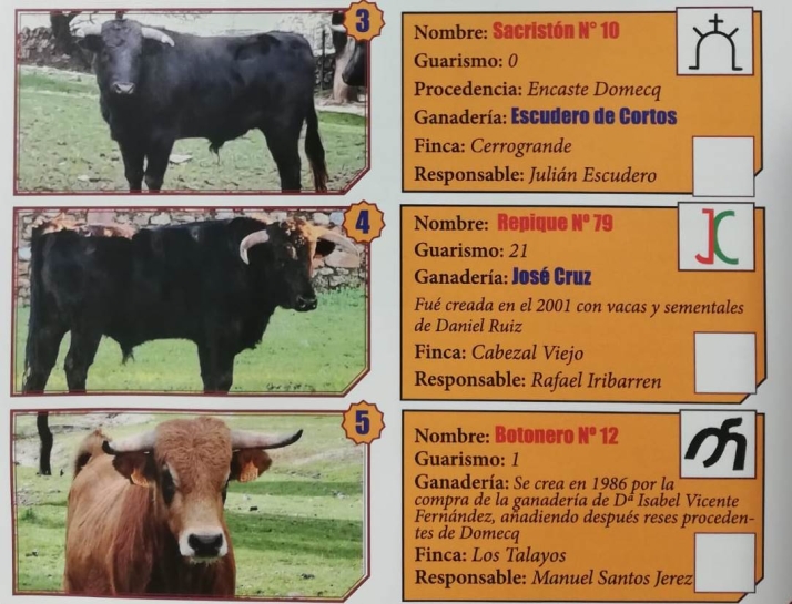 Desvelada la imagen de los 5 erales que protagonizar&aacute;n la final del Bols&iacute;n | Imagen 1