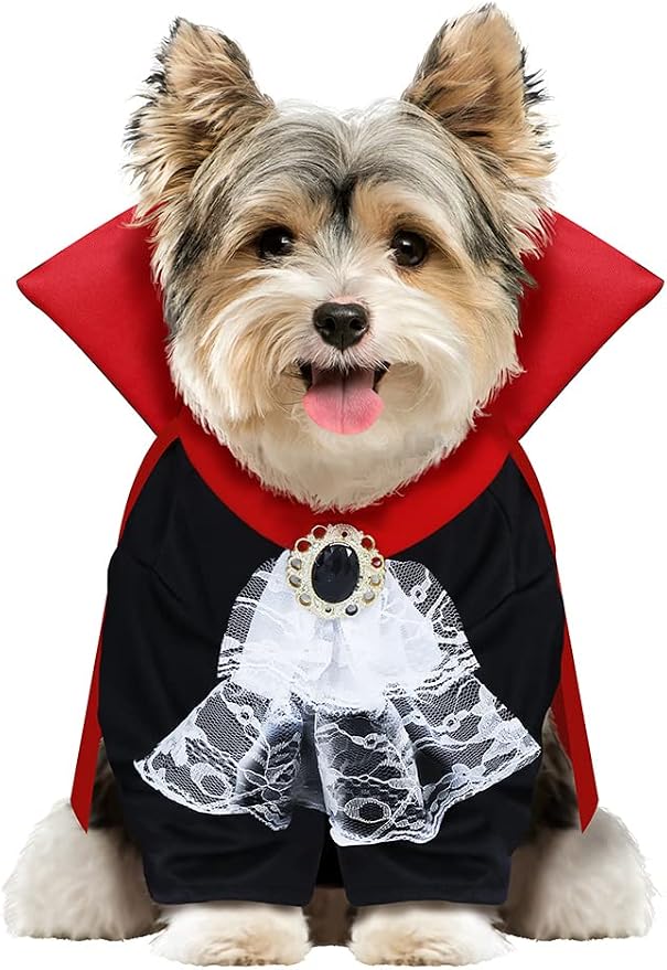Los mejores disfraces para perros en Halloween  | Imagen 3