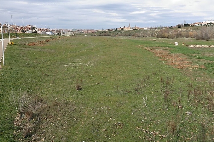 Lo mismo arborizan, por fin, El Zurgu&eacute;n. | Imagen 7