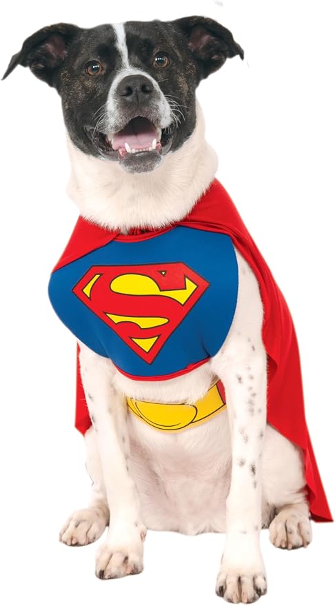 Los mejores disfraces para perros en Halloween  | Imagen 4