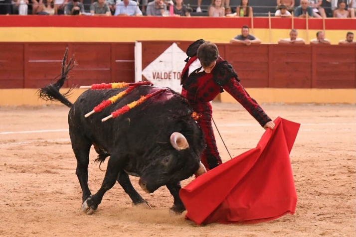 Alejandro Marcos, a un paso de la final de la Copa Chenel en Las Ventas: "Ser&iacute;a un error verme ya en esa final. Hay que estar al m&aacute;ximo nivel" | Imagen 1