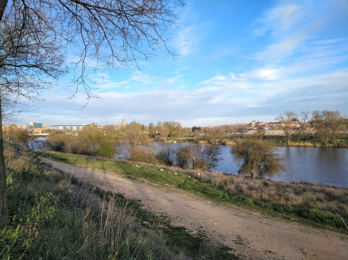 El a&ntilde;orado corredor verde en las orillas del r&iacute;o Tormes. | Imagen 3