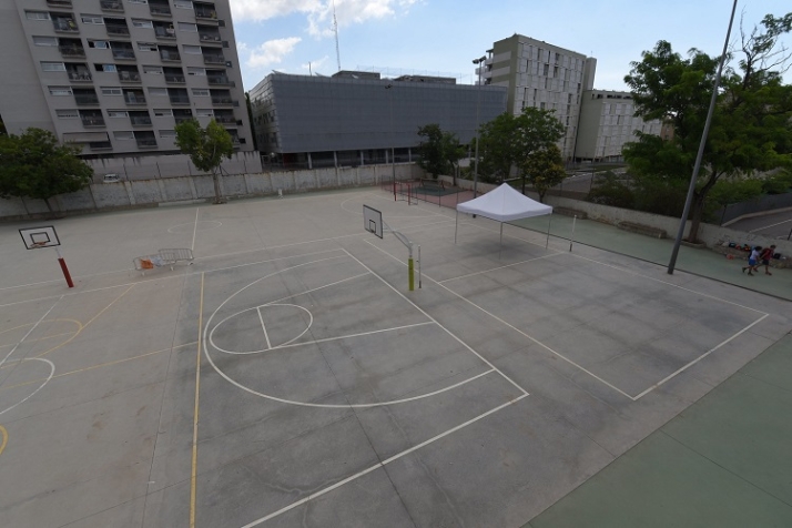 Renaturalizar, algo m&aacute;s que un &aacute;rbol. | Imagen 3