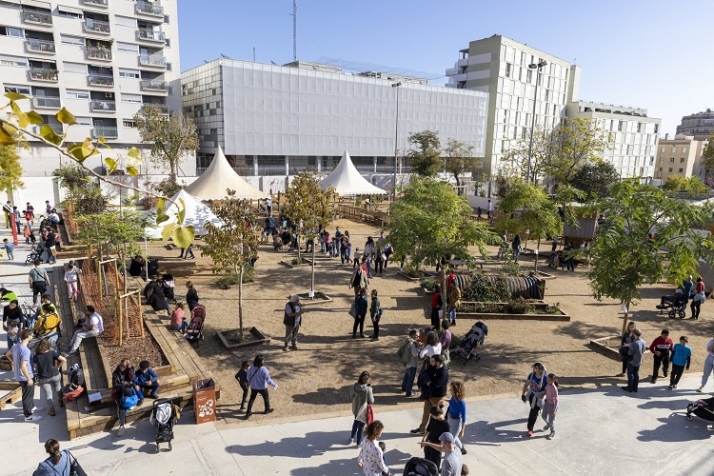 Renaturalizar, algo m&aacute;s que un &aacute;rbol. | Imagen 4