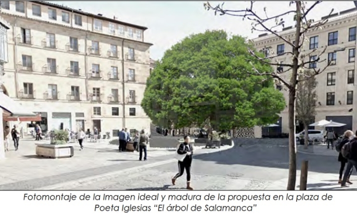 La ilusi&oacute;n de lo que puede llegar a ser. | Imagen 8