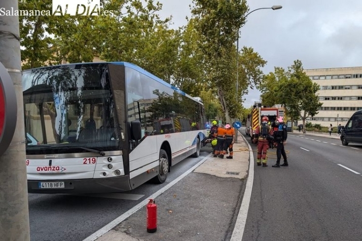 Buscyl, previsi&oacute;n | Imagen 5