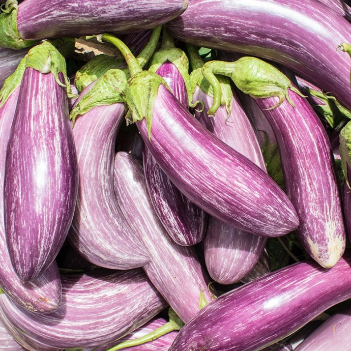 Proyecto Eco Regiones en Portugal, la fertilidad rural del siglo XXI | Imagen 5