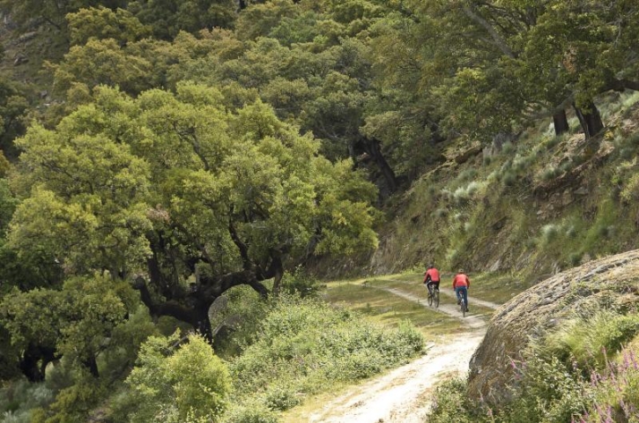 Rutas BTT en Salamanca: 9 centros y 1.500 kil&oacute;metros para recorrer en bicicleta la provincia  | Imagen 1