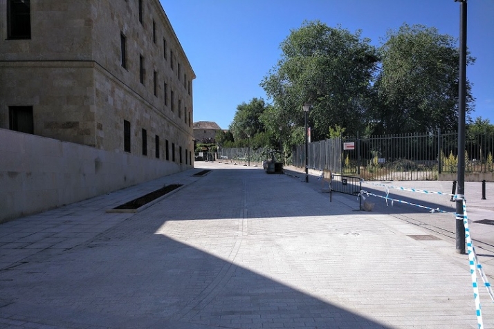 Peatonalizando, pero &iquest;Saviamente? | Imagen 2