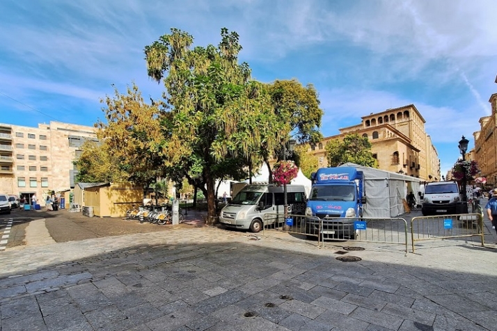 Ocupar con sentido. | Imagen 5