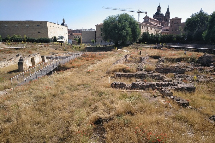 Peatonalizando, pero &iquest;Saviamente? | Imagen 6