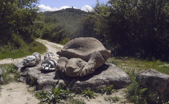 Rutas para descubrir la provincia de Salamanca este oto&ntilde;o | Imagen 3