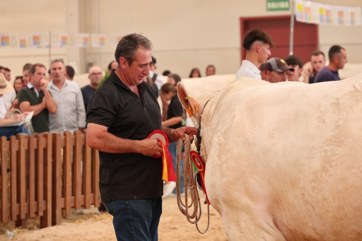 La emoci&oacute;n de un doblete hist&oacute;rico en Salamaq: 'Quejoso' y 'Romano' son los mejores charoleses j&oacute;venes de Espa&ntilde;a | Imagen 1
