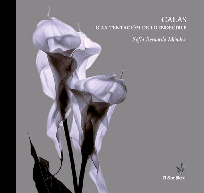 La poes&iacute;a sagrada y corporal de Sof&iacute;a Bernardo llega a Salamanca | Imagen 1