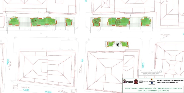 REPORTAJE | Salamanca refuerza su apuesta verde para "introducir la naturaleza en el entorno urbano" | Imagen 5