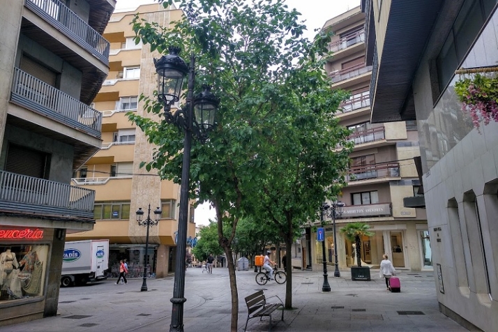 Verde y calor | Imagen 8