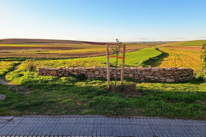 &iquest;Ser&aacute; solo un an&eacute;cdota? | Imagen 5