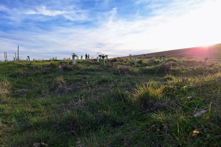 &iquest;Ser&aacute; solo un an&eacute;cdota? | Imagen 8