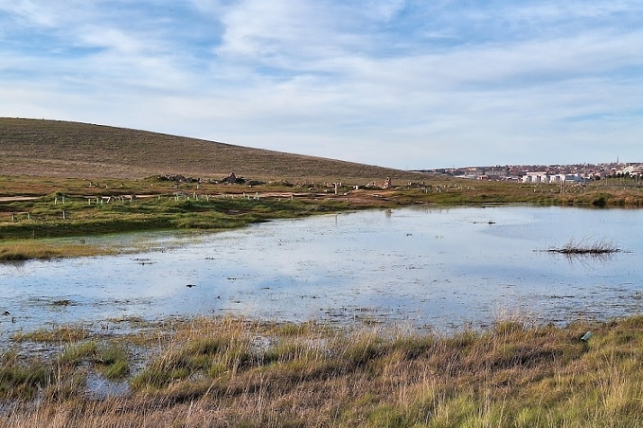 &iquest;Ser&aacute; solo un an&eacute;cdota? | Imagen 7