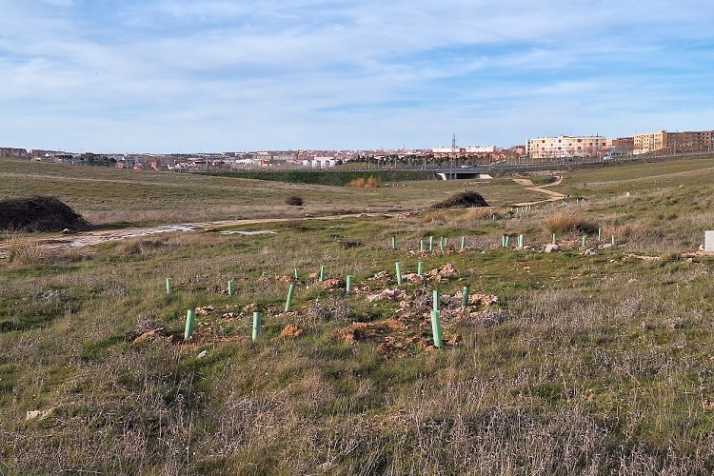 &iquest;Ser&aacute; solo un an&eacute;cdota? | Imagen 2