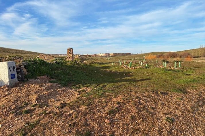 &iquest;Ser&aacute; solo un an&eacute;cdota? | Imagen 1