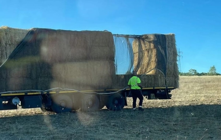 La ca&iacute;da de pacas de paja de un cami&oacute;n provoca un accidente en la A-66 y complica el tr&aacute;fico en la provincia | Imagen 1
