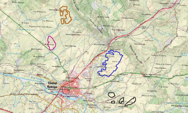Las placas solares ser&aacute;n &lsquo;ocultadas&rsquo; por pantallas vegetales en un proyecto de 260.168,11&amp;euro; | Imagen 1