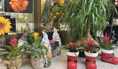 Ideas para regalar estas Navidades sin salir de Salamanca  | Imagen 9