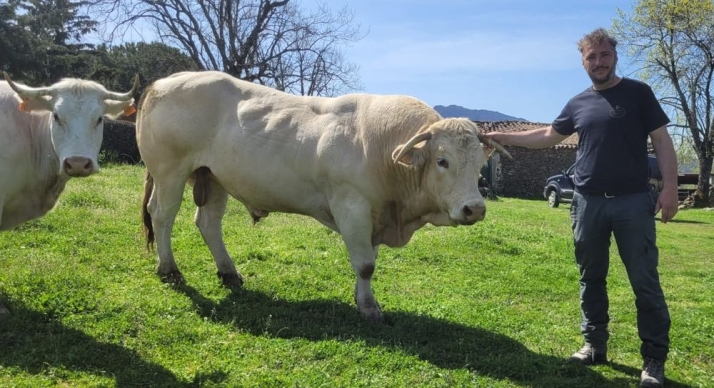 Las organizaciones agrarias de Salamanca denuncian la asfixia del sector | Imagen 2
