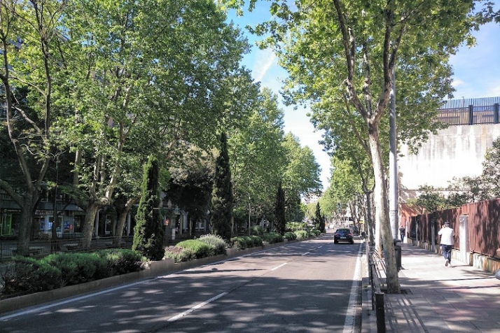 Verde y calor | Imagen 4