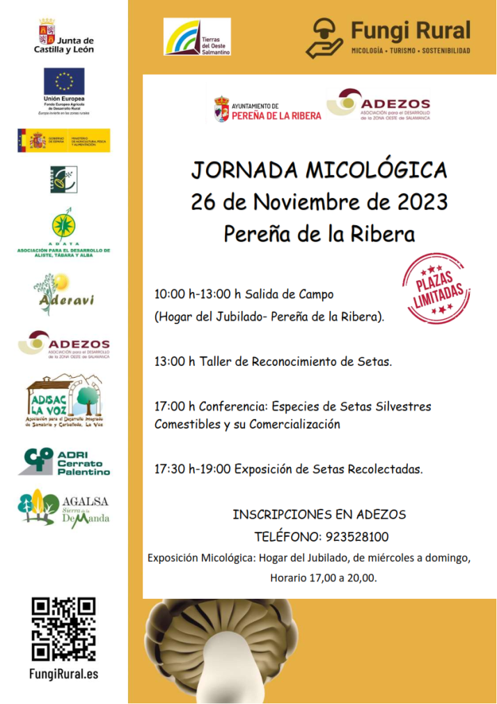 Adezos promueve en Pere&ntilde;a de la Ribera una completa jornada para conocer las setas | Imagen 1