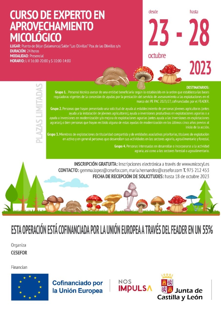 Puerto de B&eacute;jar acoge un curso sobre micolog&iacute;a | Imagen 1