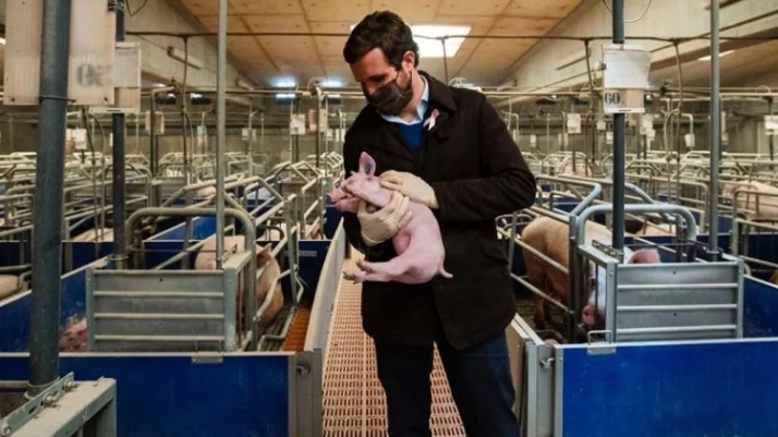 Mentir. &iquest;PSOE, PP y sindicatos agrarios quieren destruir la dehesa charra? | Imagen 5