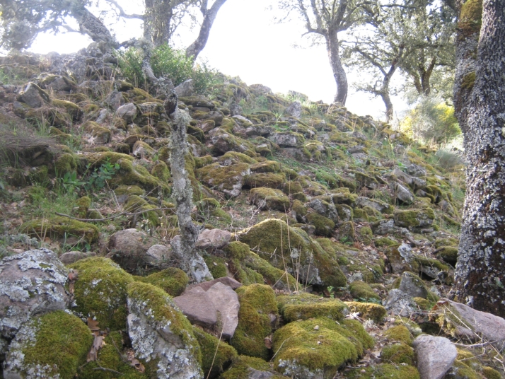 El castro de Los Castillos de Gema | Imagen 1