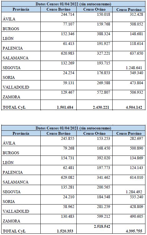 M&aacute;s l&iacute;deres en el sector del vacuno de carne en Espa&ntilde;a | Imagen 1