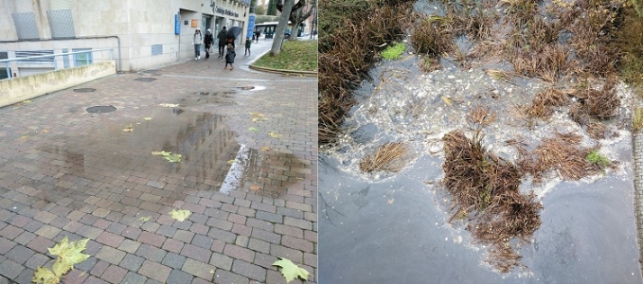 Tambi&eacute;n hay &ldquo;complementos&rdquo; peatonales | Imagen 2