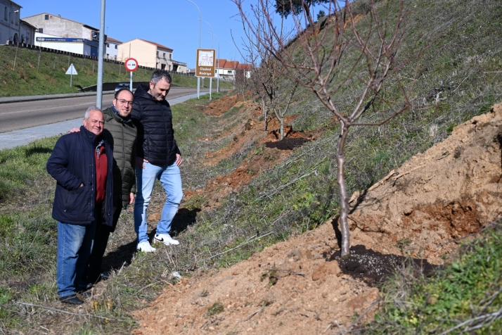 El Ayuntamiento planta cerca de 80 nuevos &aacute;rboles, entre ellos 50 fresnos y 15 almendros | Imagen 1