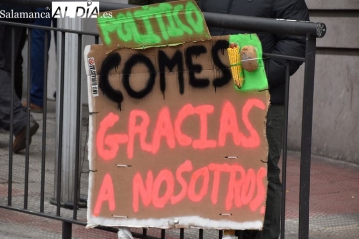 Tienen muchas razones, pero &iquest;la raz&oacute;n? | Imagen 6