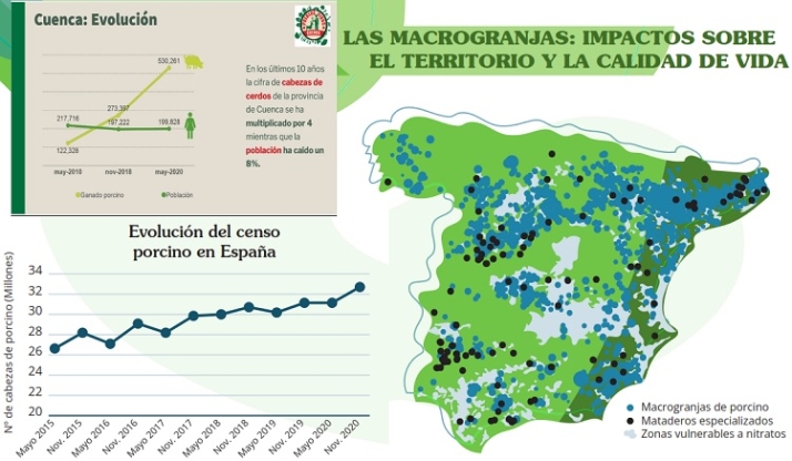 Mentir. &iquest;PSOE, PP y sindicatos agrarios quieren destruir la dehesa charra? | Imagen 3
