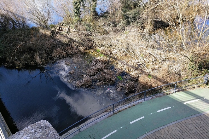 Tropiezos en el paseo | Imagen 7