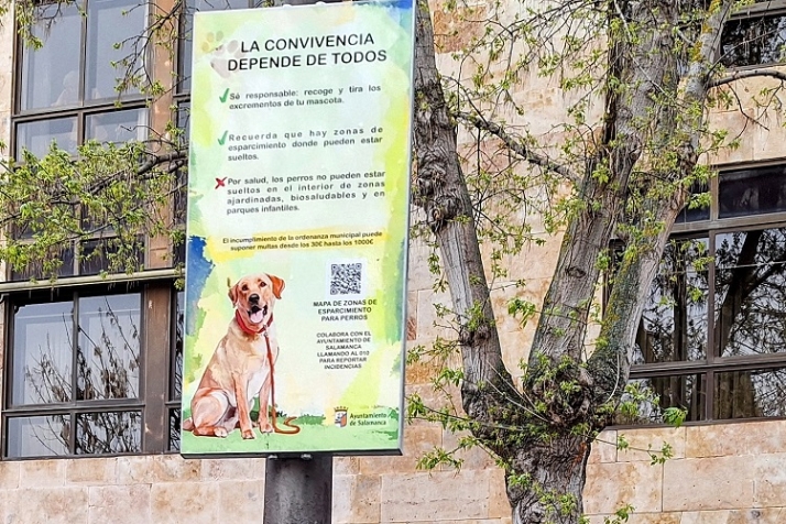 Recordatorios caninos | Imagen 3