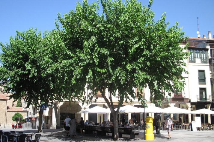 Tomarse un respiro sentado. | Imagen 2